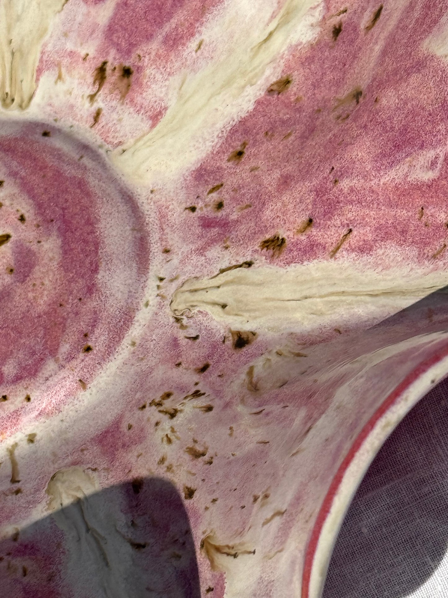 Large Wavy Bowl- Peonie