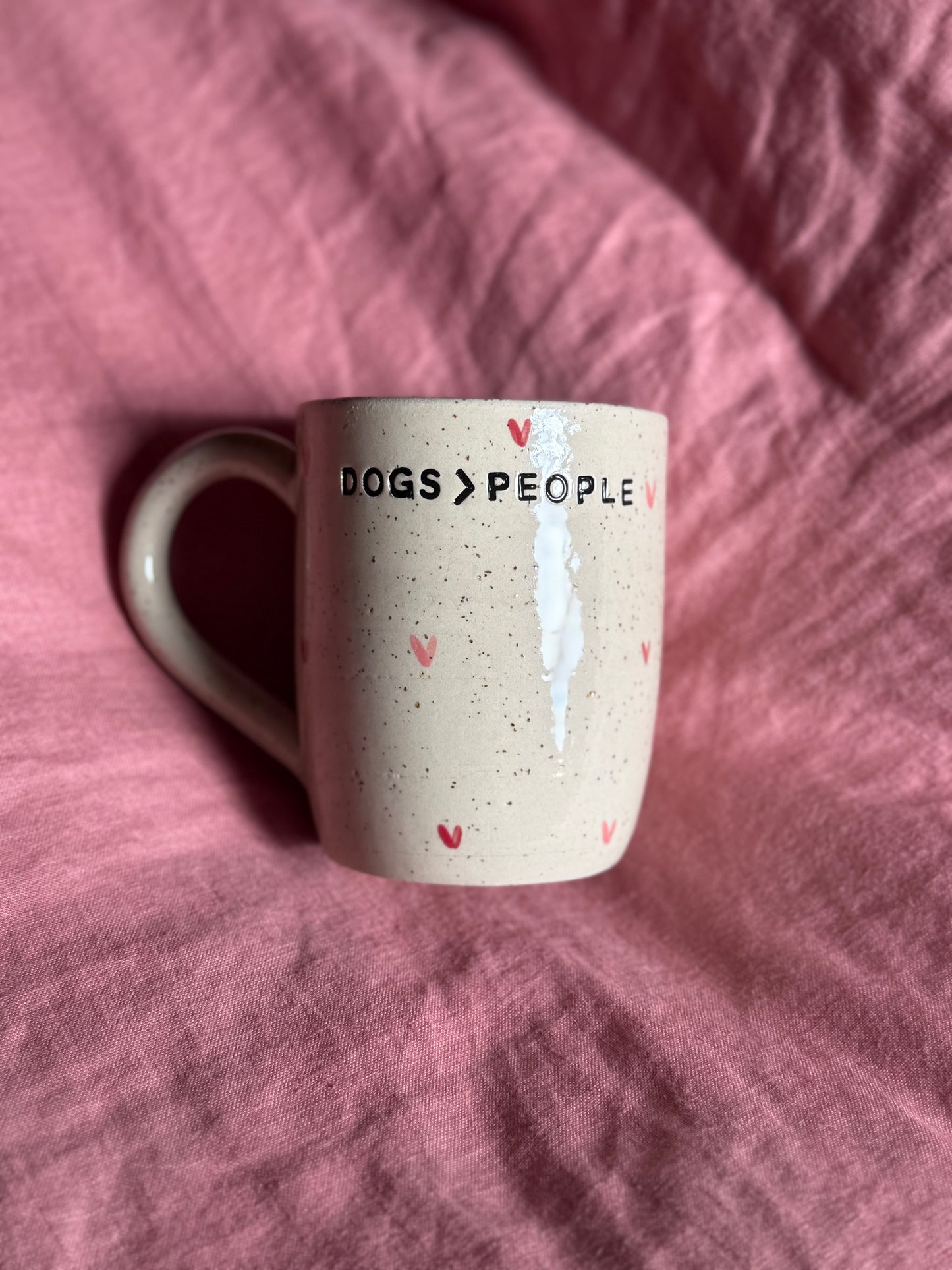 ‘Dogs better than People’ Mug