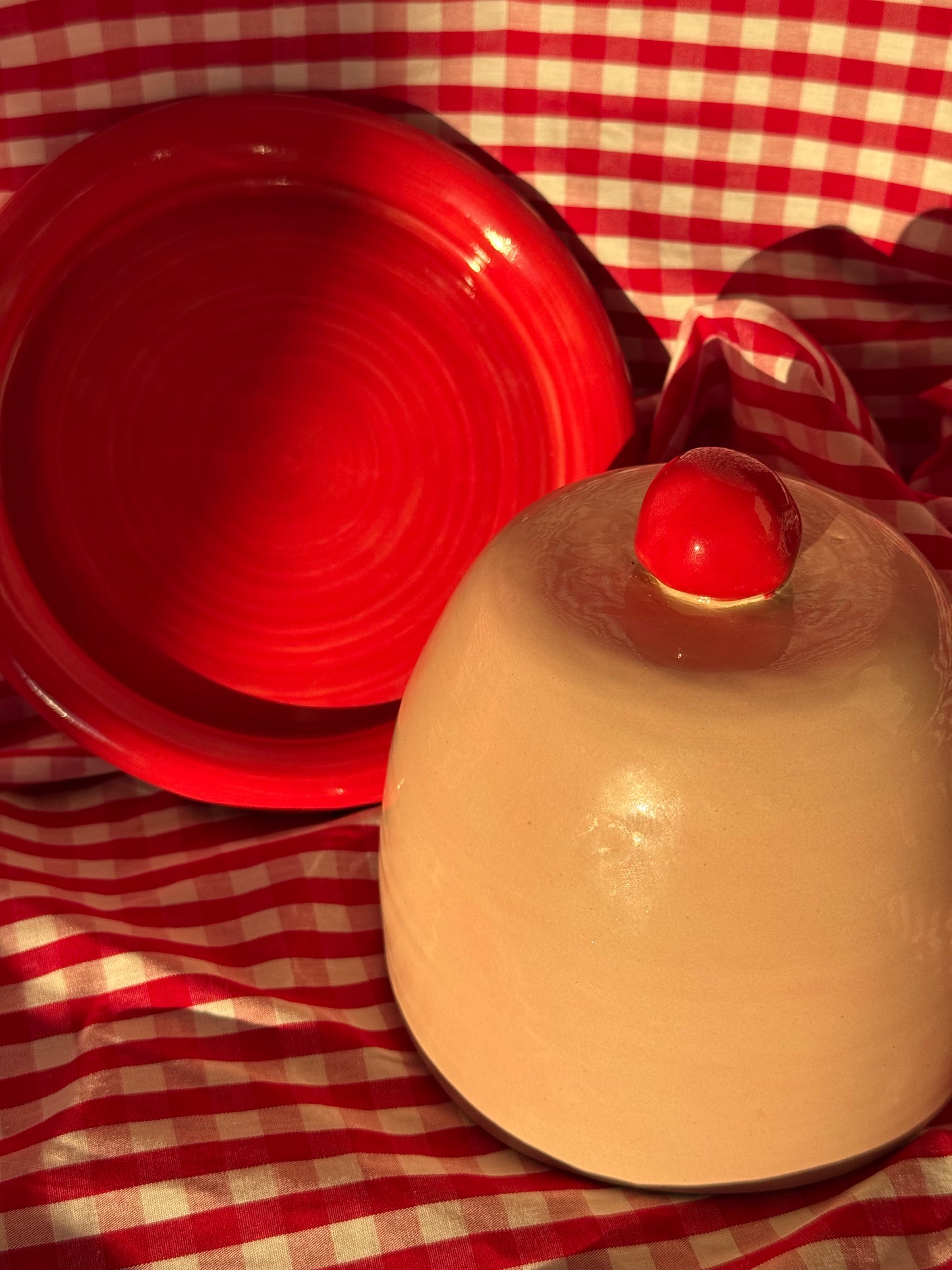 Butter dish- Red + pink