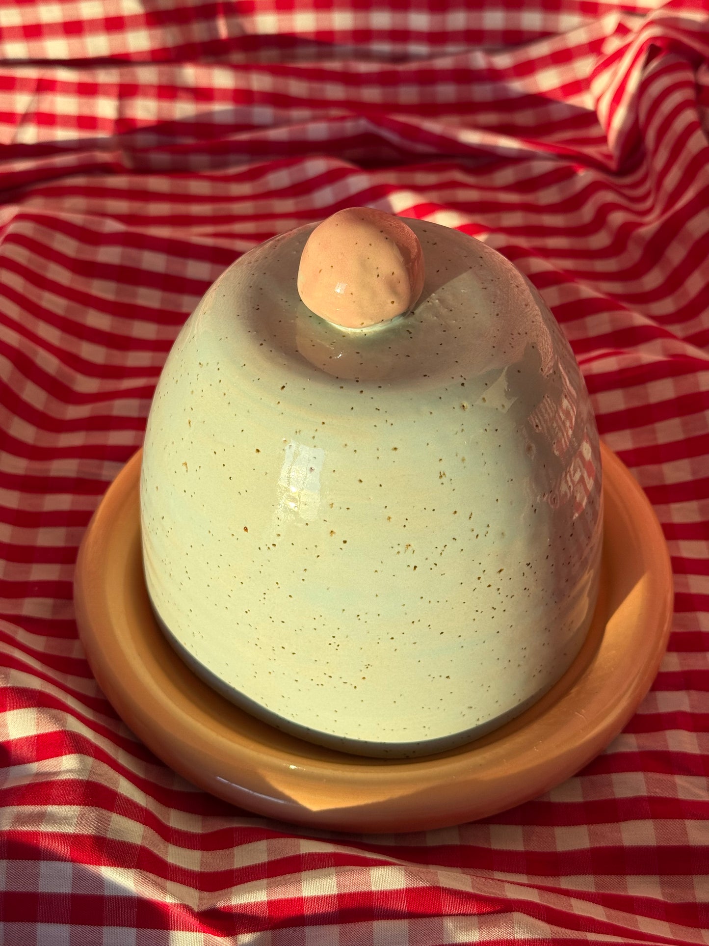 Butter dish - Peach + blue + pink
