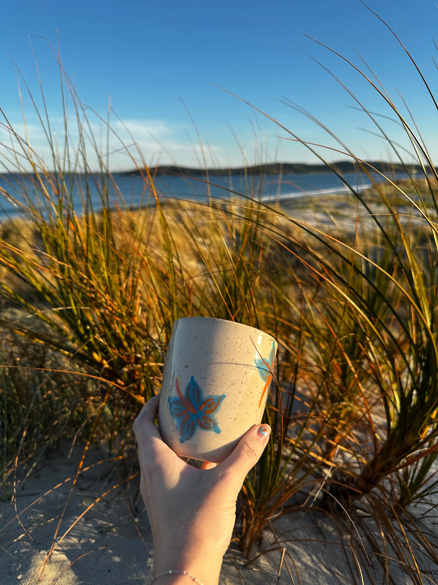 Hibiscus Tumblers