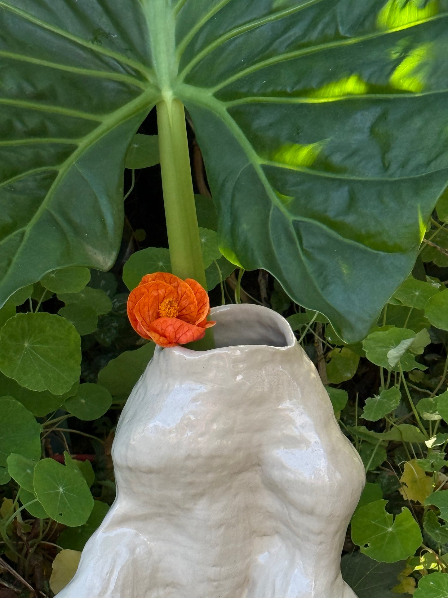 Hand coiled vase - nude #2