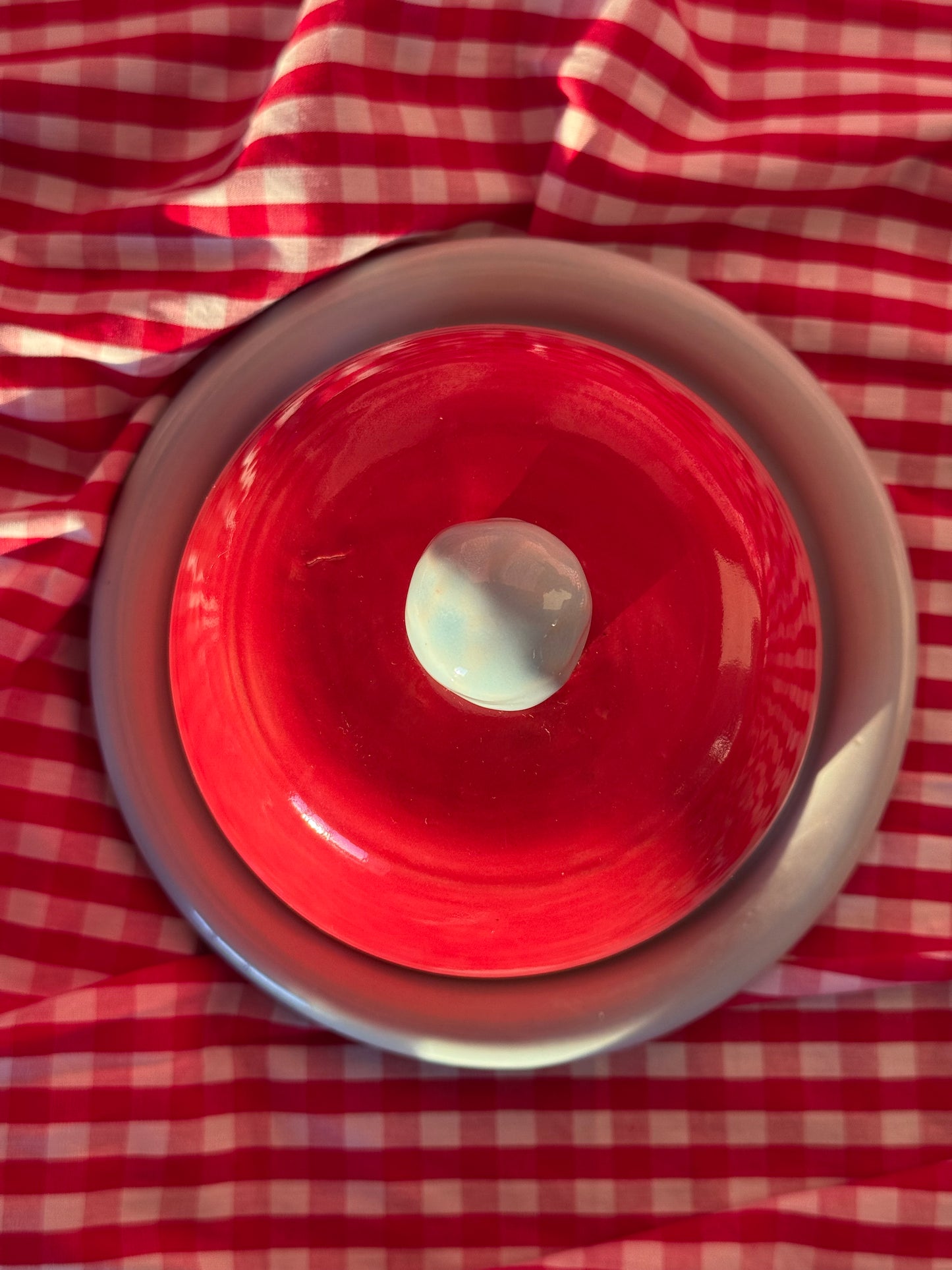 Butter dish- Red + blue