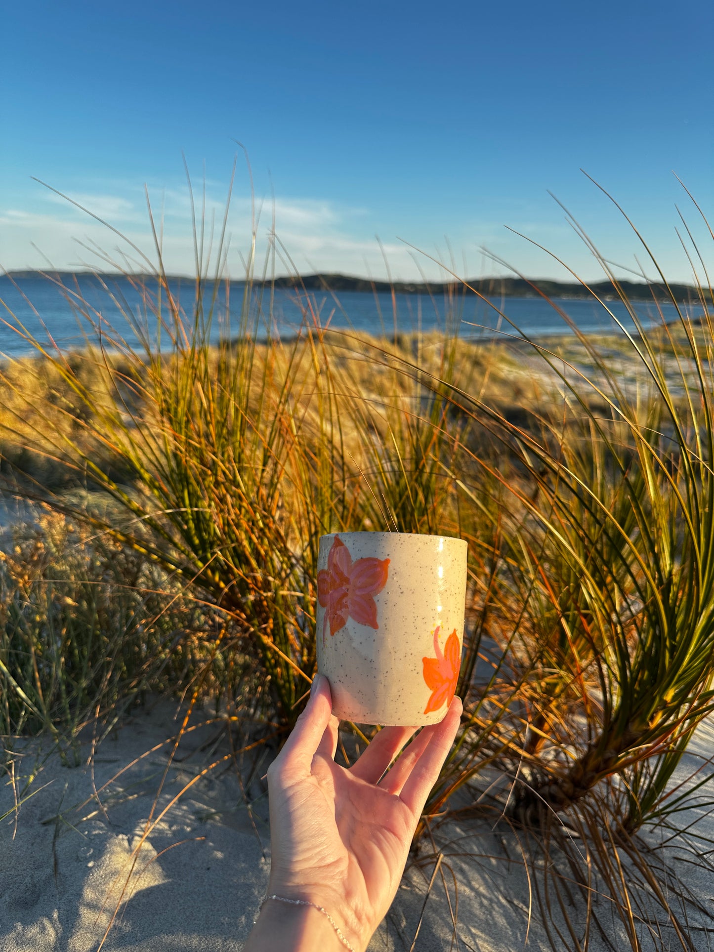 Hibiscus Tumblers