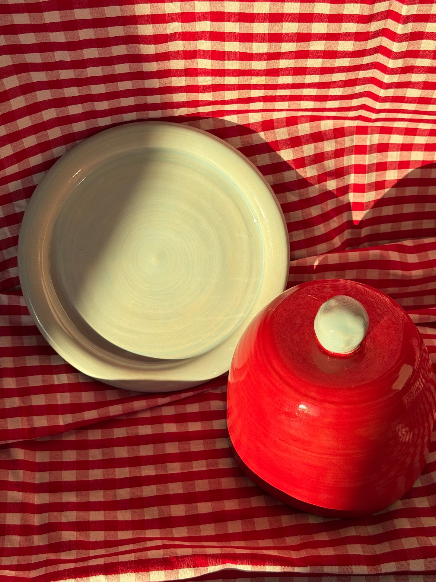 Butter dish- Red + blue