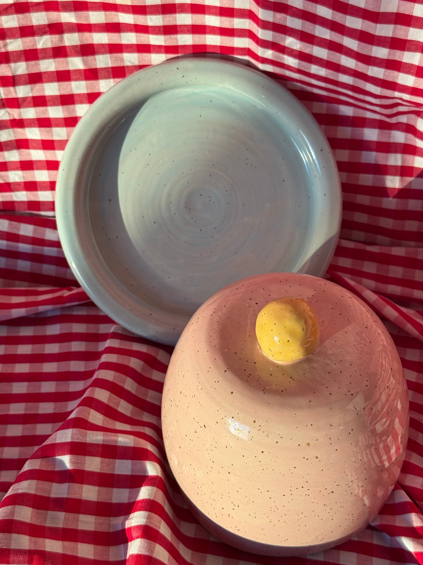 Butter dish - Blue + pink + yellow