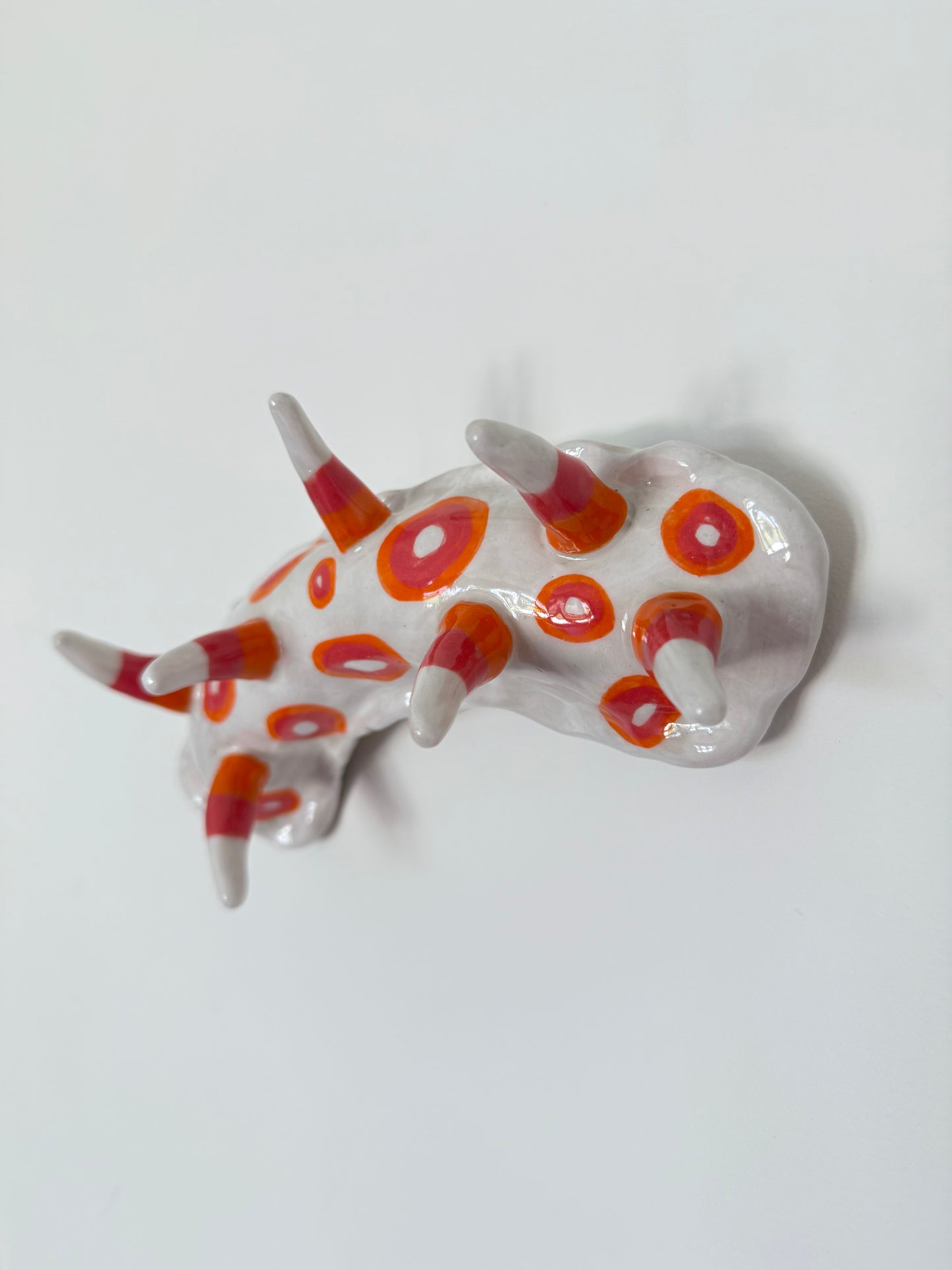 Nudibranch Wall Art